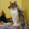 Отзыв от Наиля Еремина